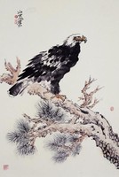 藏品(鷹)的圖片