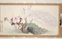 藏品(孔雀牡丹)的圖片