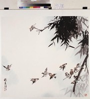 藏品(晴晨)的圖片