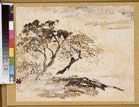 藏品(風景)的圖片