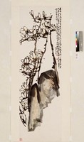 藏品(玉蘭)的圖片