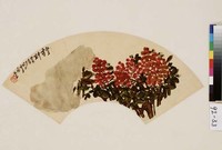 藏品(紅豆)的圖片