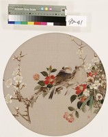 藏品(歲寒雙鳥)的圖片