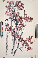 藏品(紅梅)的圖片
