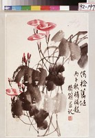 藏品(牽牛花)的圖片