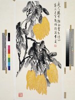 藏品(佛手瓜)的圖片