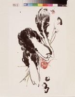 藏品(水墨白菜)的圖片