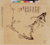 藏品(壽梅)的圖片