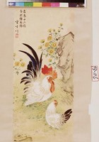藏品(花鳥)的圖片