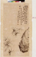 藏品(毛蟹)的圖片