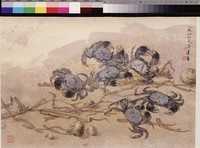 藏品(蟹之一)的圖片