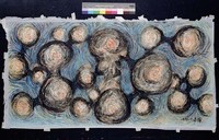 藏品(生命之源)的圖片