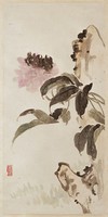 藏品(花卉)的圖片