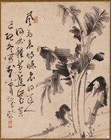 藏品(芭蕉)的圖片