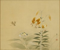 藏品(花(牡丹/百合))的圖片