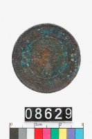 藏品(大清銅幣丙午湘字十文)的圖片