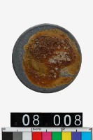 藏品(吉林省造辛丑光緒元寶庫平一錢四分四釐)的圖片