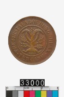 藏品(洪憲元年當十銅元)的圖片