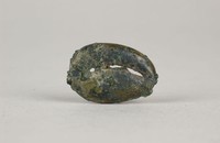 藏品(銅貝)的圖片