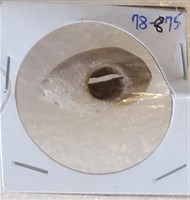 藏品(玉貝)的圖片