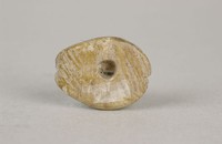 藏品(骨貝)的圖片