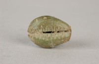 藏品(貝幣)的圖片