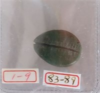 藏品(石貝)的圖片