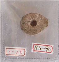 藏品(骨貝)的圖片