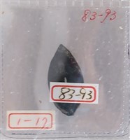 藏品(銅貝)的圖片