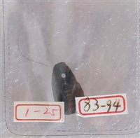 藏品(銅貝)的圖片
