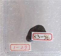 藏品(銅貝)的圖片