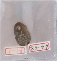 藏品(銅貝)的圖片