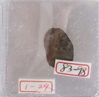 藏品(銅貝)的圖片