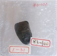 藏品(銅貝)的圖片