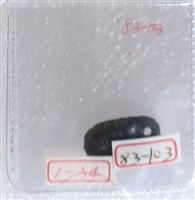 藏品(銅貝)的圖片