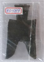 藏品(尖足布茲氏半)的圖片