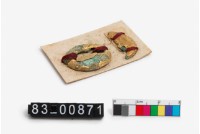 藏品(貼金貝)的圖片