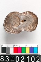 藏品(元銀錠)的圖片