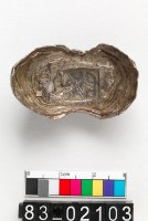 藏品(支銀錠)的圖片