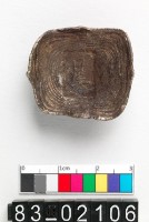 藏品(星銀錠)的圖片