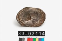 藏品(天銀錠)的圖片