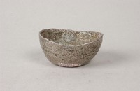 藏品(渭南銀錠)的圖片