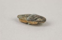 藏品(蟻鼻錢)的圖片