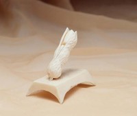 藏品(花生)的圖片