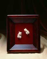 藏品(金魚)的圖片