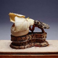 藏品(牙雕杏蟬)的圖片