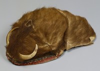 藏品(邵族男帽)的圖片