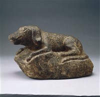 藏品(臺灣化石狗)的圖片