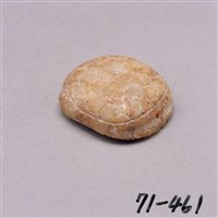 藏品(白玉龜形珮)的圖片