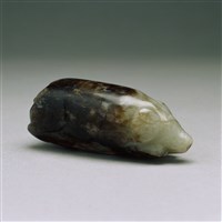 藏品(灰玉豚)的圖片